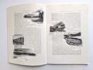 Another image of WONDERLAND '98 - Rare Issue w/ BARE-BREASTED ART-DECO FERTILITY GODDESS COVER - NORTHERN PACIFIC RAILWAY PROMOTIONAL PUBLICATION - Yosemite, Mount Rainier, the Klondike, 1898 by Olin Wheeler
