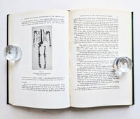 1953 CHRISTIE MURDER CASE - MEDICAL and SCIENTIFIC FORENSIC INVESTIGATIONS by Francis Camps, M.D. - SIGNED & INSCRIBED First Edition by Francis E. Camps