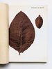 Another image of ITALIAN RAW TOBACCO w/ 44 COLOR PLATES of PLANTS & LEAVES + MAP of GROWING AREAS by Umberto Rossi