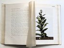 Another image of ITALIAN RAW TOBACCO w/ 44 COLOR PLATES of PLANTS & LEAVES + MAP of GROWING AREAS by Umberto Rossi
