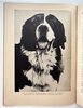 Another image of Vintage DOG TRAINING Method By Famous HOLLYWOOD Celebrity Animal Trainer by Captain Harold Brooks, The Famous Animal Trainer
