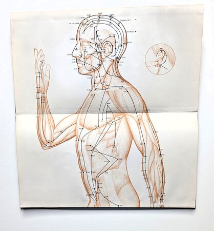 ATLAS OF ACUPUNCTURE : POINTS AND MERIDIANS IN RELATION TO SURFACE ANATOMY by Felix Mann