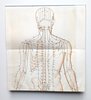 Another image of ATLAS OF ACUPUNCTURE : POINTS AND MERIDIANS IN RELATION TO SURFACE ANATOMY by Felix Mann