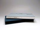 Another image of CUTAWAY - Artist's Book by ALABAMA PRINTER SARAH BRYANT Big Jump Press 1/45 2007 by Sarah Bryant