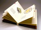 Another image of CUTAWAY - Artist's Book by ALABAMA PRINTER SARAH BRYANT Big Jump Press 1/45 2007 by Sarah Bryant