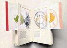 Another image of CUTAWAY - Artist's Book by ALABAMA PRINTER SARAH BRYANT Big Jump Press 1/45 2007 by Sarah Bryant