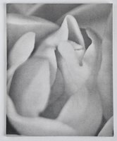 SOLSTICE BLOSSOM with Original Watercolor by Michael McClure