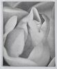 Another image of SOLSTICE BLOSSOM with Original Watercolor by Michael McClure