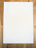 Another image of MARY OLIVER SIGNED BROADSIDE - FIRST TIME PERCY CAME BACK Ode to Her Beloved Deceased Dog - Limited Edition 1/500 by Mary Oliver