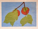 Another image of Henry Evans JAPANESE PERSIMMONS Original 1965 SIGNED Linocut EXCELLENT MIDCENTURY BOTANICAL PRINT by Henry Evans [Artist]